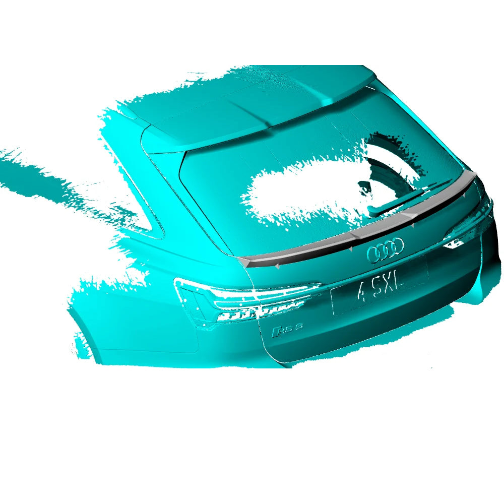 AUDI RS6 AVANT CARBON FIBER WINDOW MIDDLE SPOILER (2019-2022)